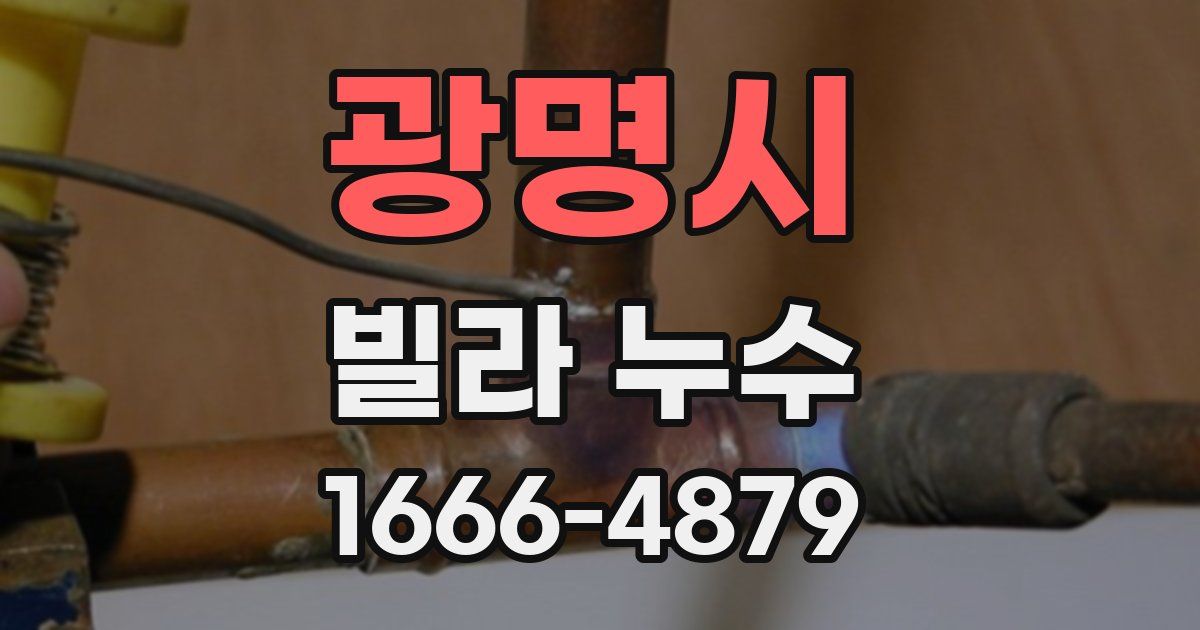광명시 빌라 누수