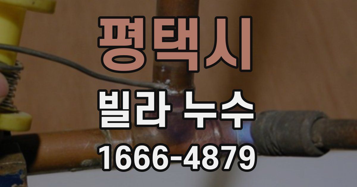 평택시 빌라 누수