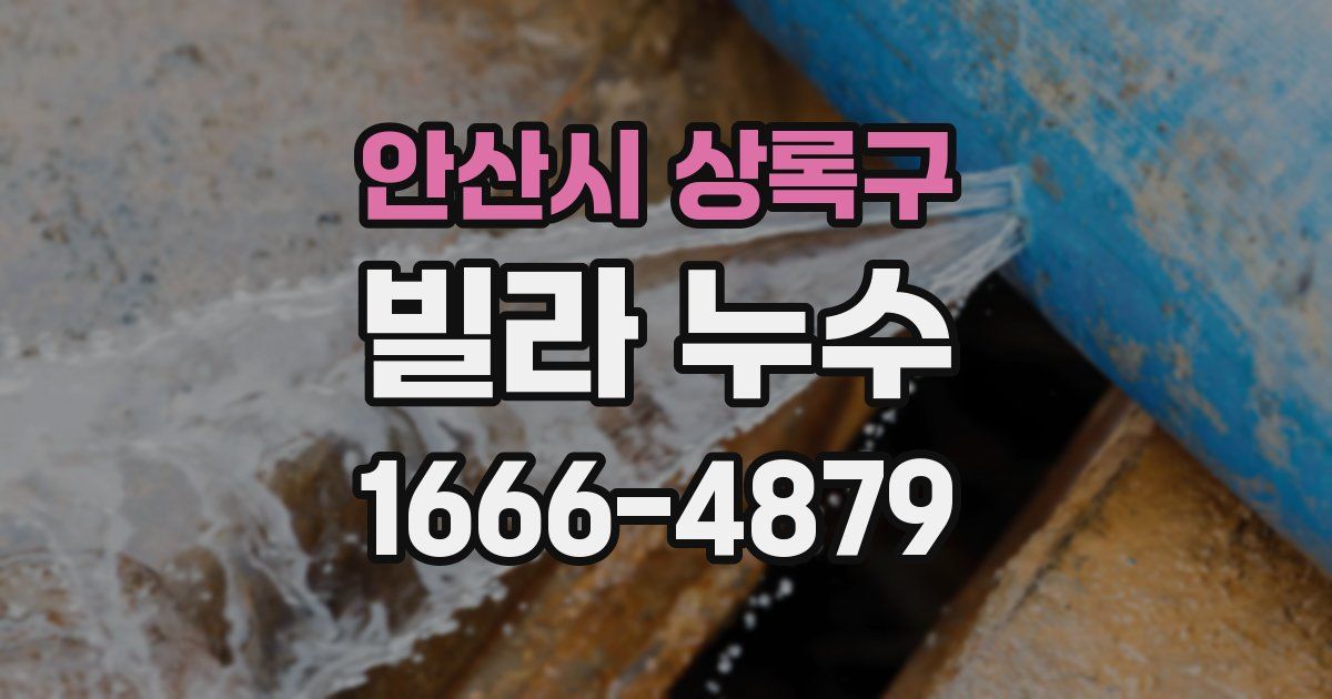 안산시 상록구 빌라 누수