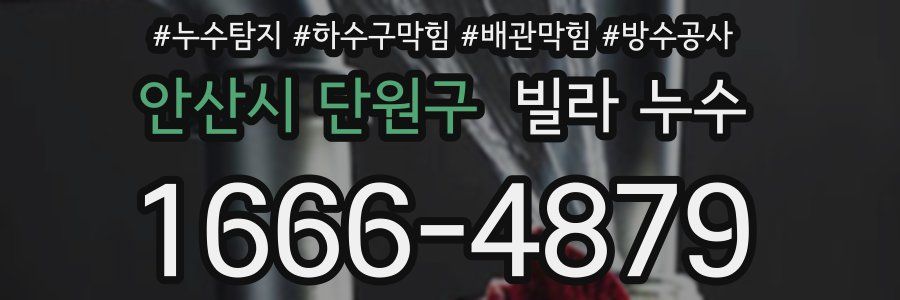 안산시 단원구 빌라 누수