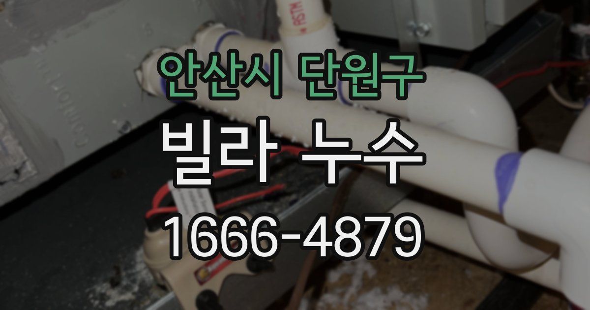 안산시 단원구 빌라 누수
