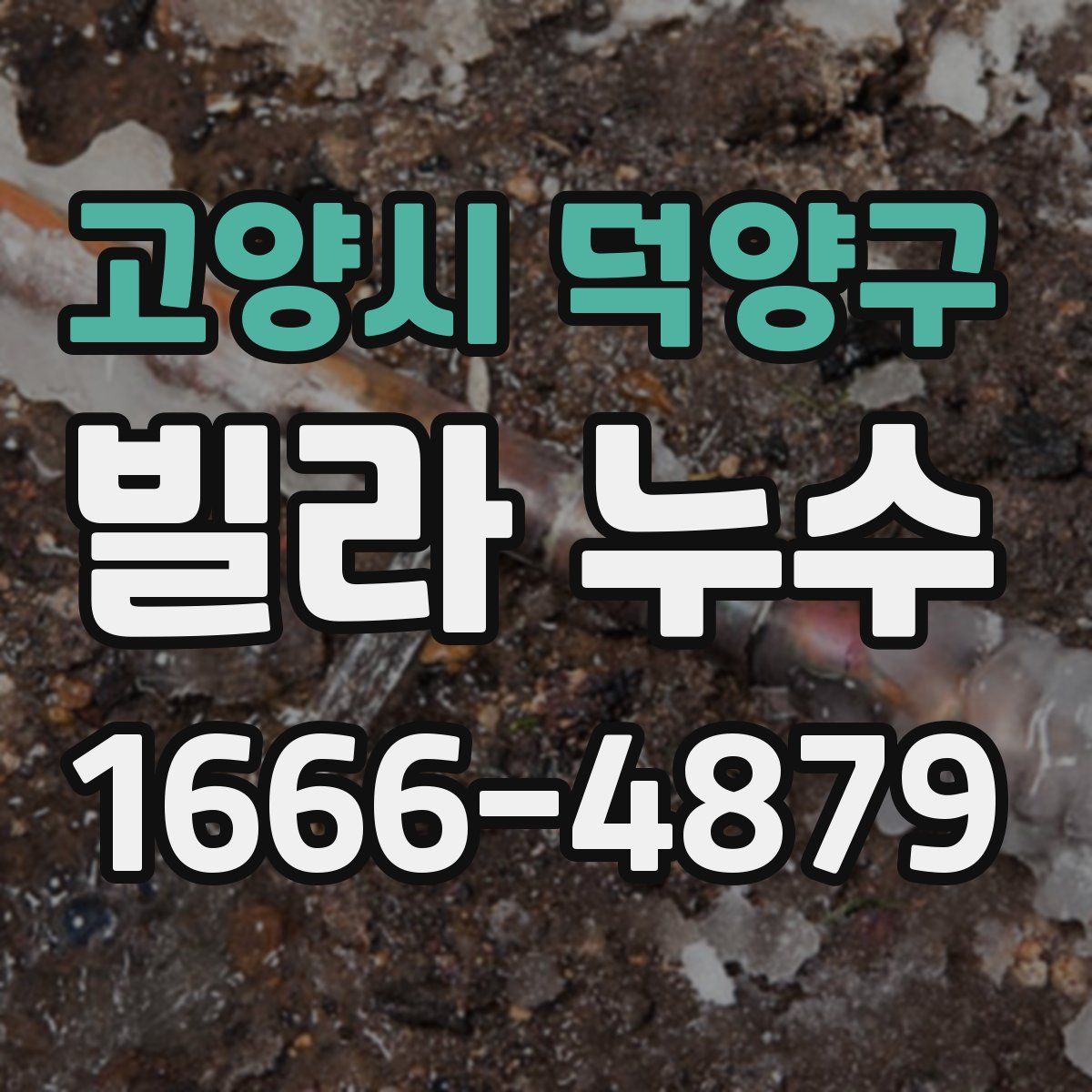 고양시 덕양구 빌라 누수