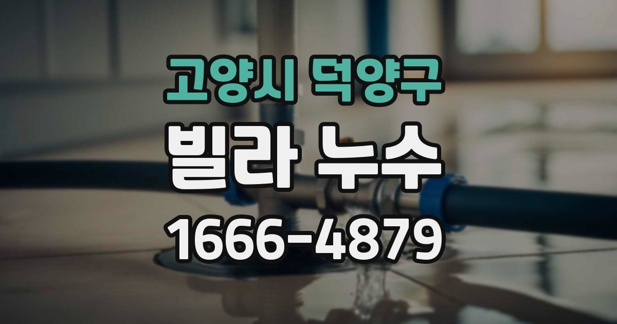 고양시 덕양구 빌라 누수
