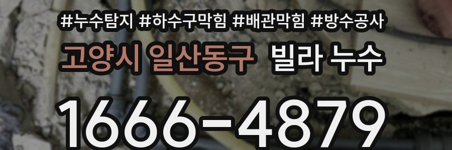 고양시 일산동구 빌라 누수