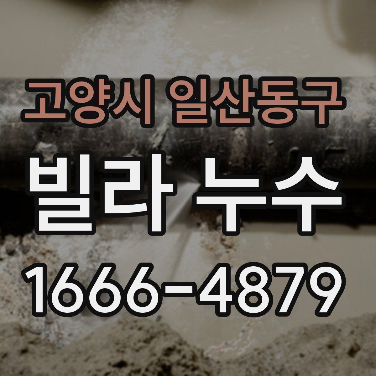 고양시 일산동구 빌라 누수