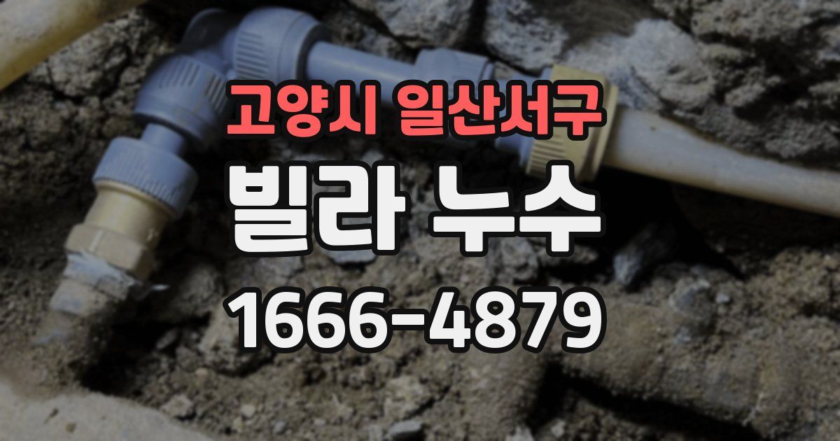 고양시 일산서구 빌라 누수