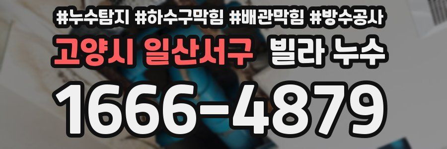 고양시 일산서구 빌라 누수