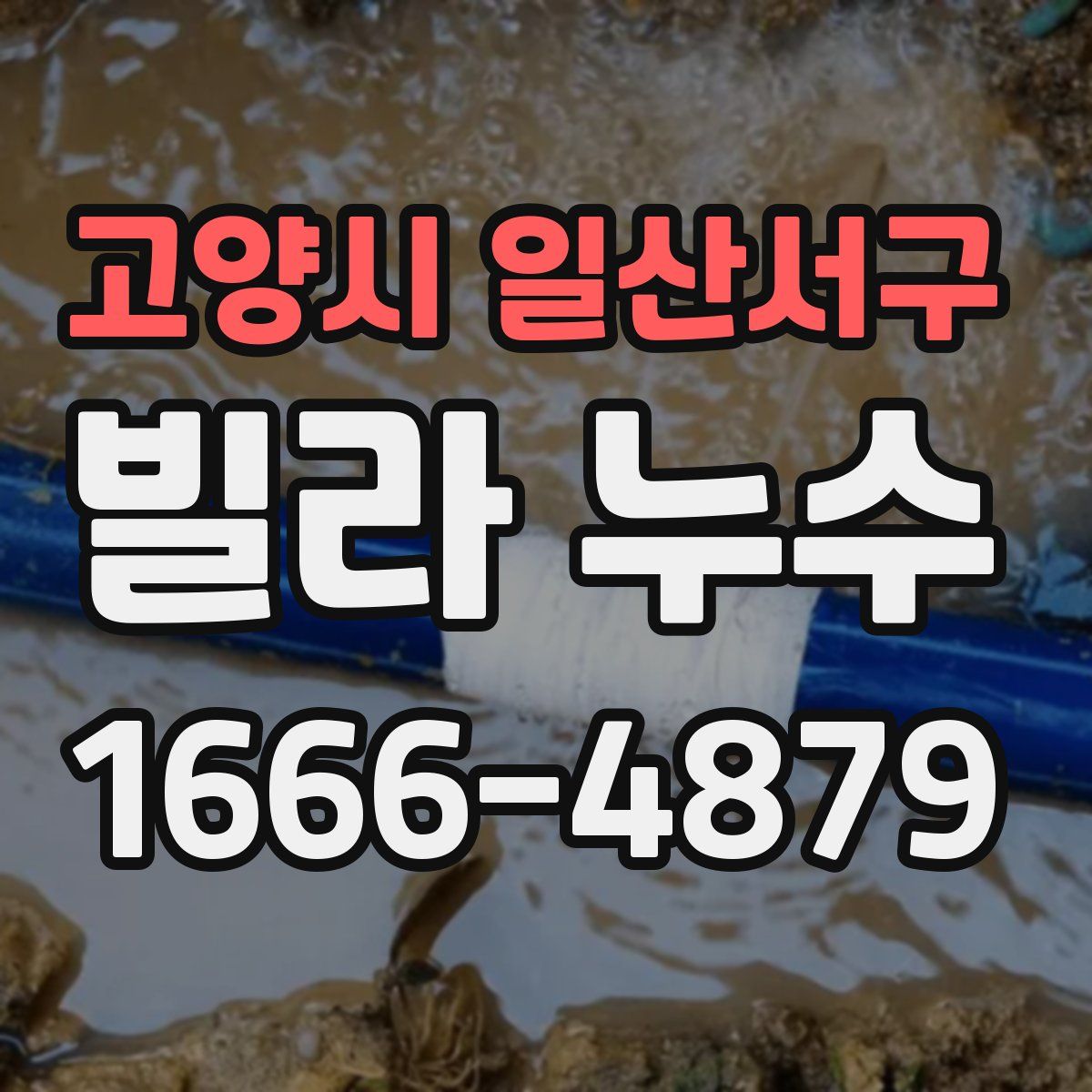 고양시 일산서구 빌라 누수