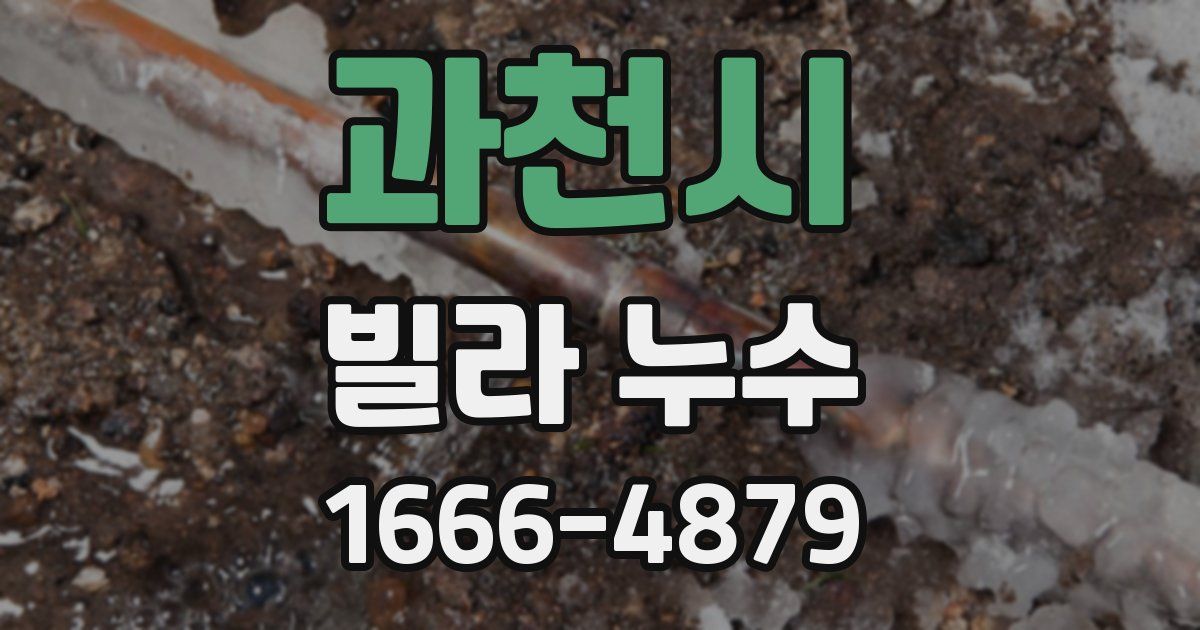 과천시 빌라 누수