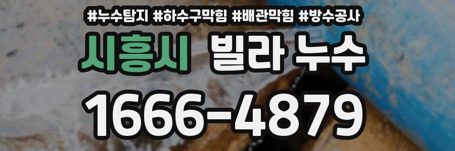 시흥시 빌라 누수