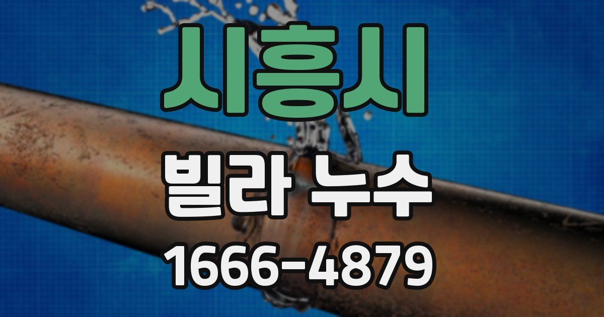 시흥시 빌라 누수