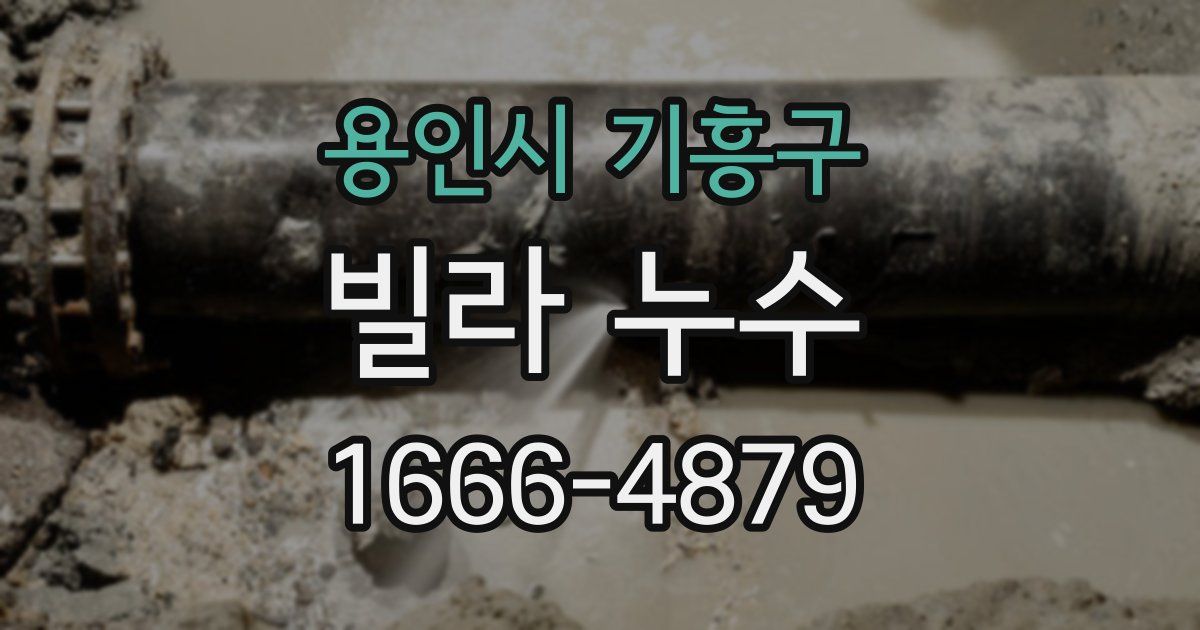 용인시 기흥구 빌라 누수