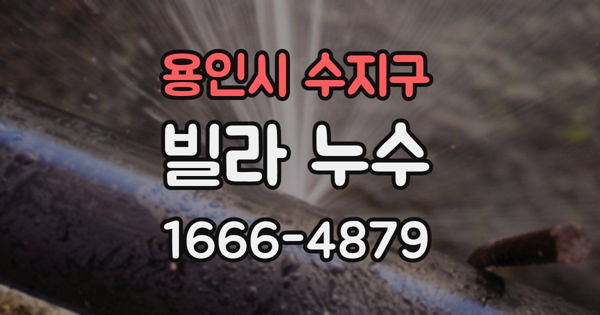 용인시 수지구 빌라 누수