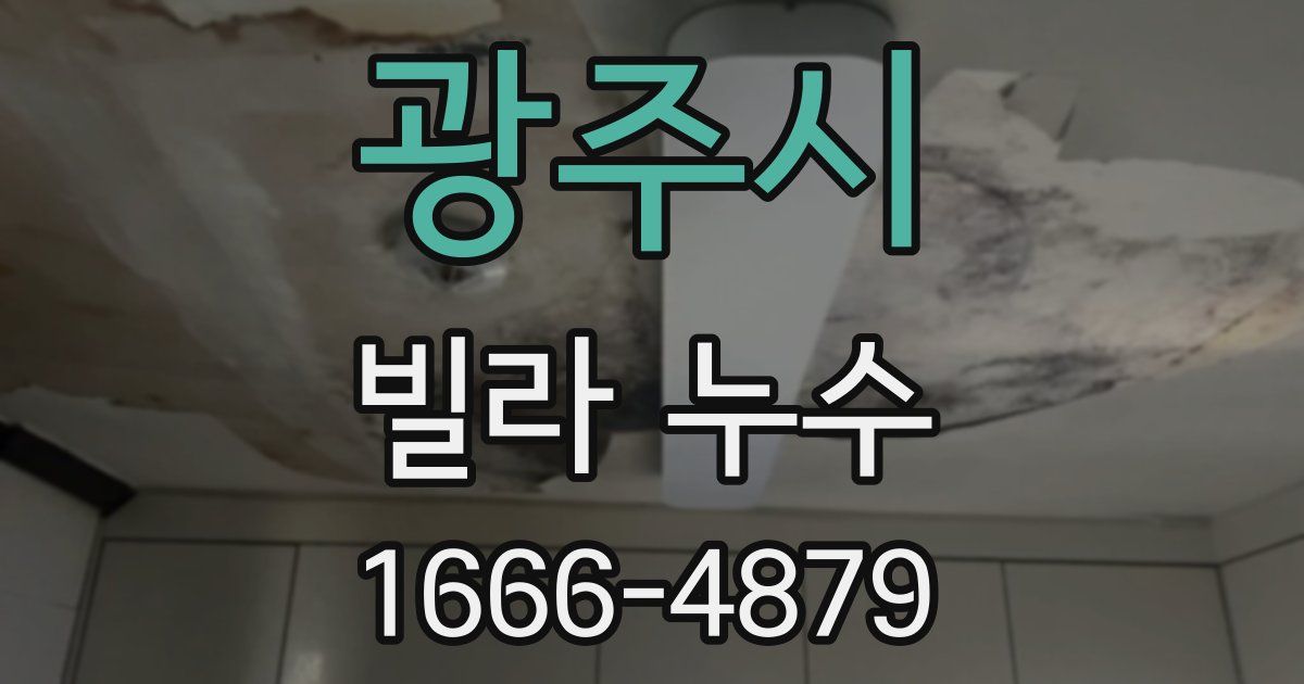 광주시 빌라 누수