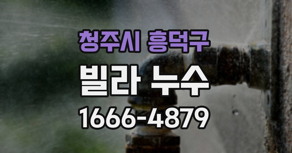 청주시 흥덕구 빌라 누수