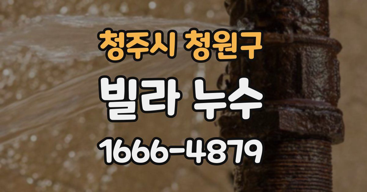 청주시 청원구 빌라 누수
