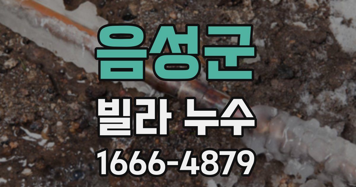 음성군 빌라 누수