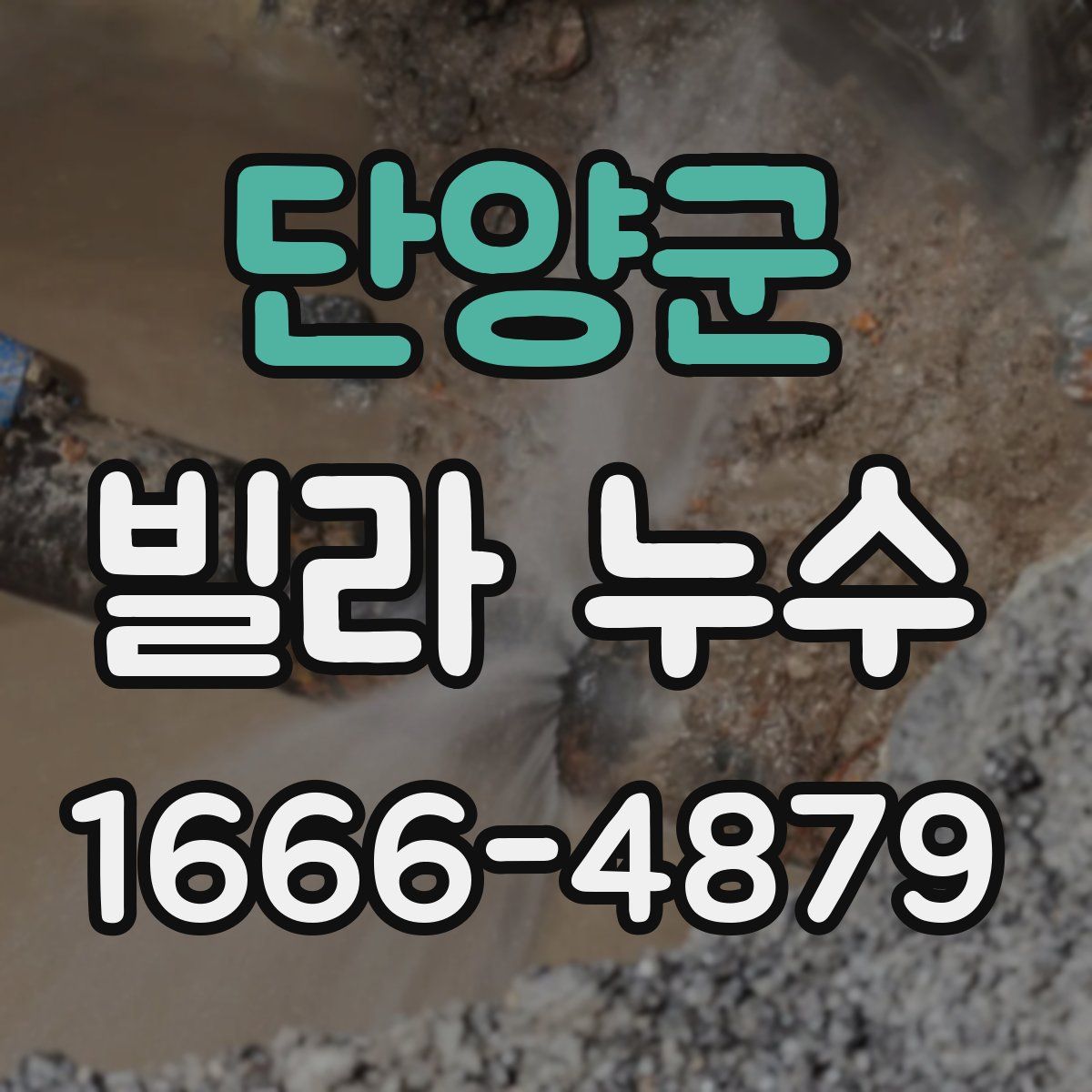 단양군 빌라 누수