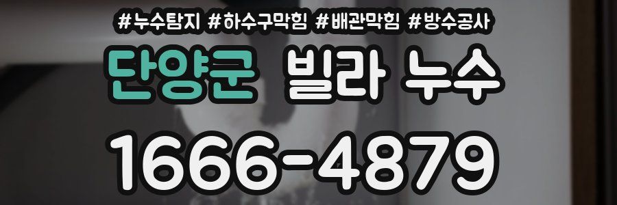 단양군 빌라 누수