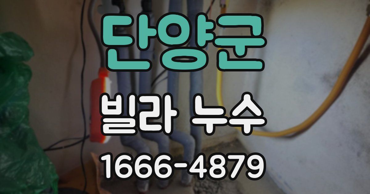 단양군 빌라 누수