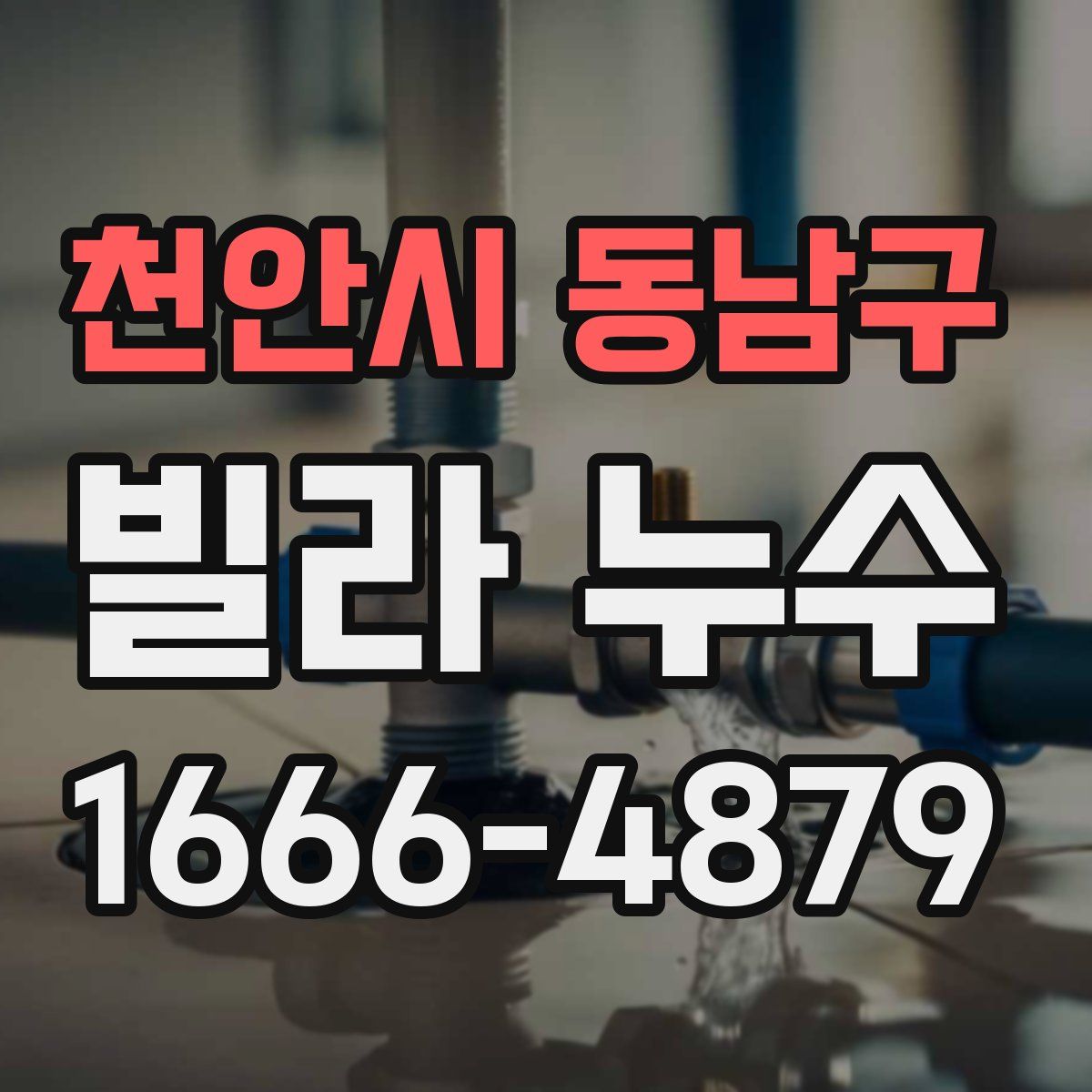 천안시 동남구 빌라 누수