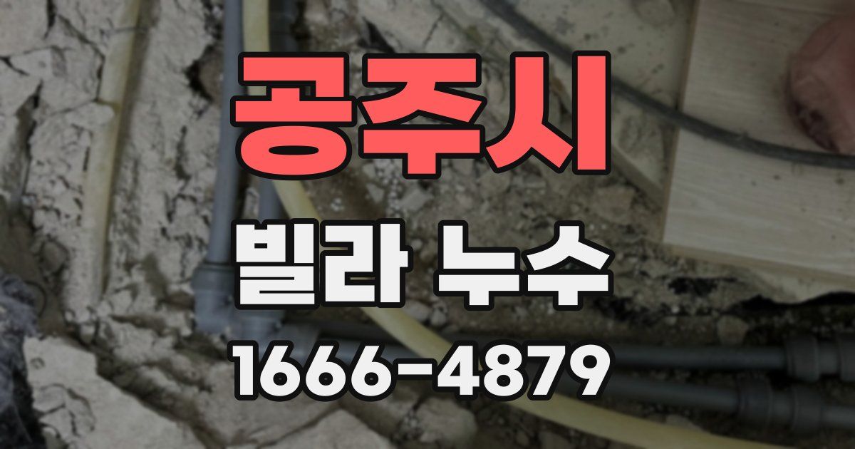 공주시 빌라 누수