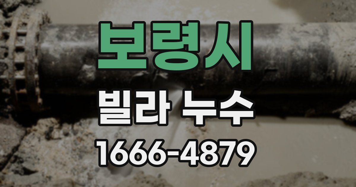 보령시 빌라 누수
