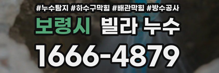 보령시 빌라 누수