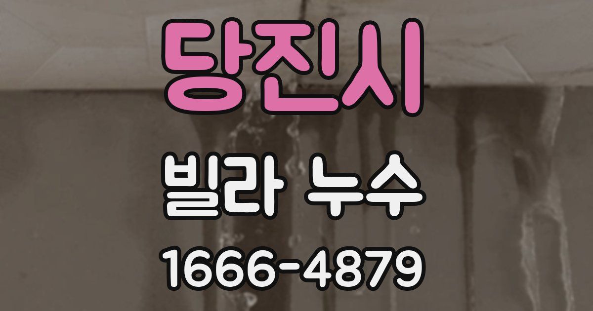 당진시 빌라 누수