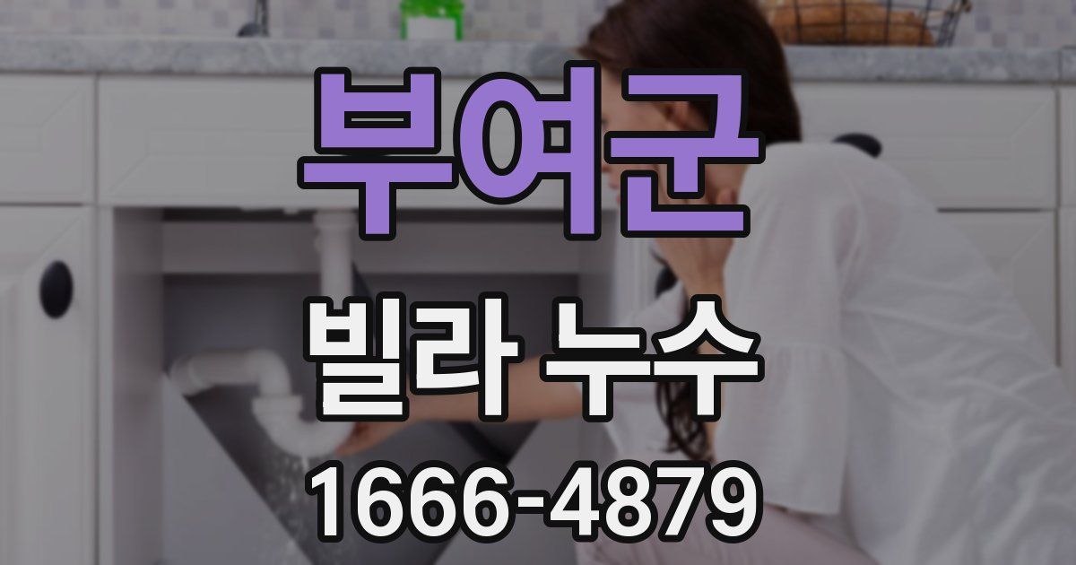 부여군 빌라 누수