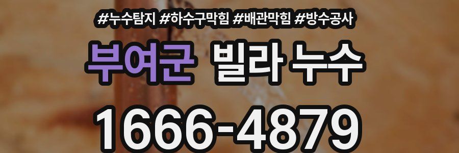 부여군 빌라 누수