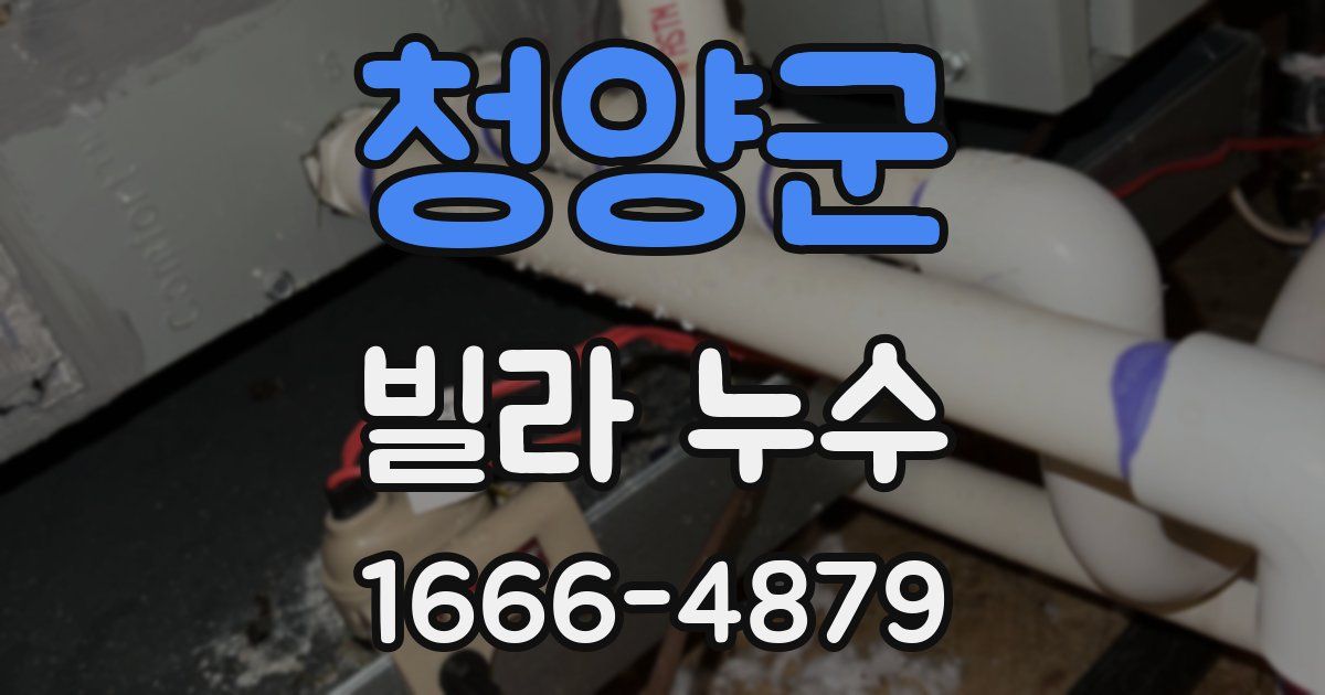 청양군 빌라 누수