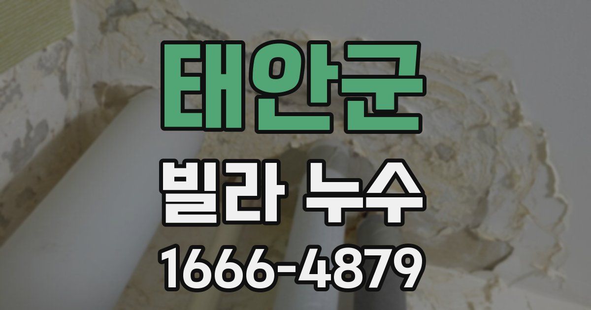 태안군 빌라 누수