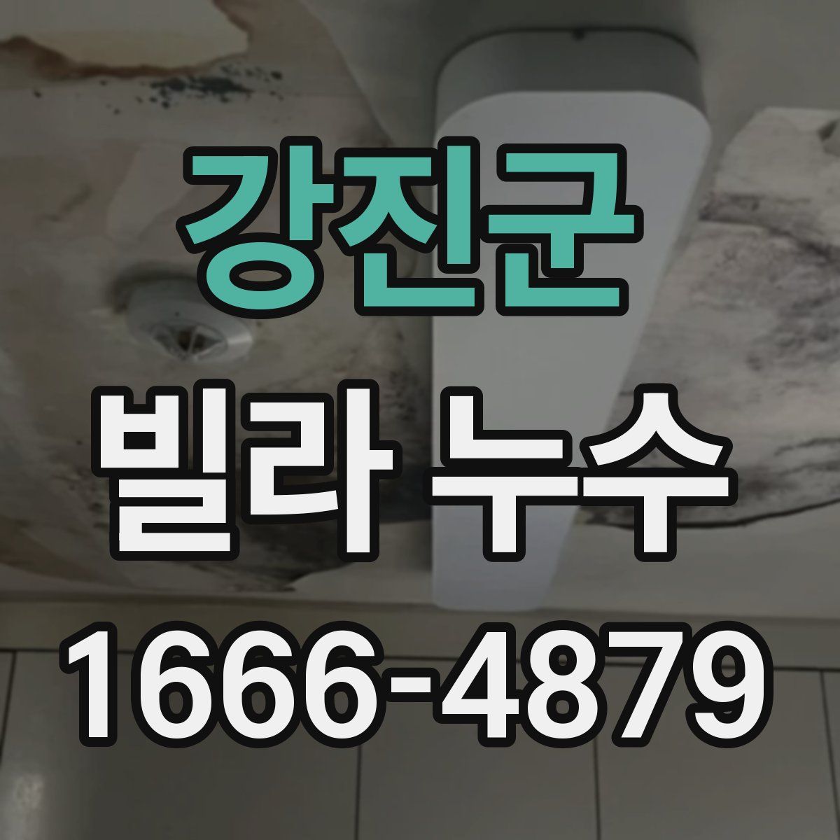 강진군 빌라 누수