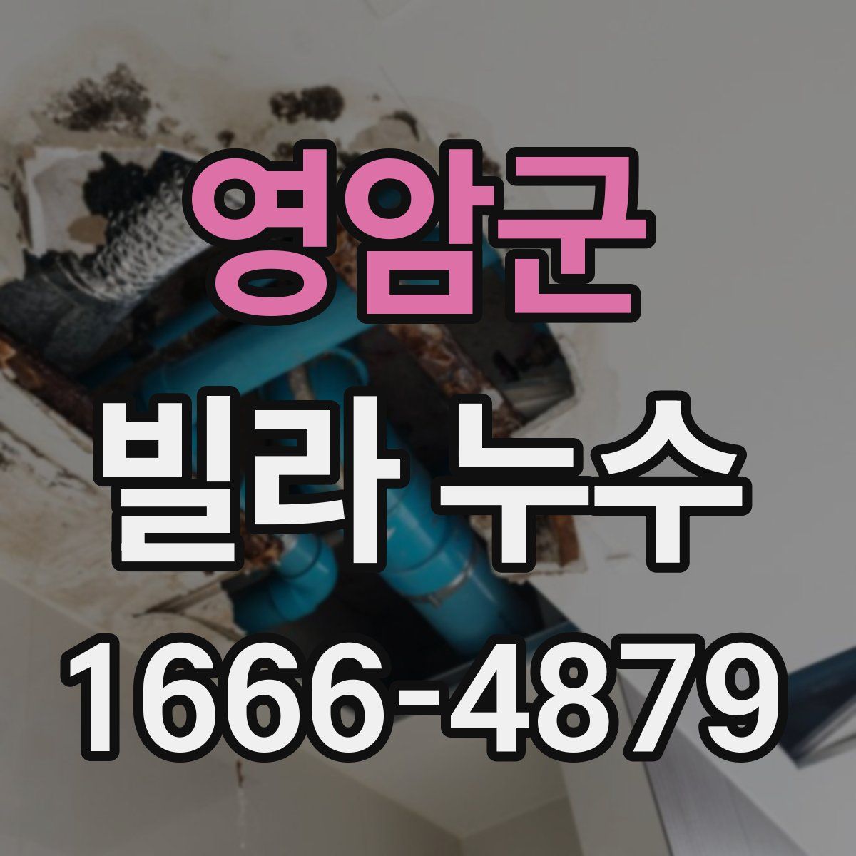 영암군 빌라 누수