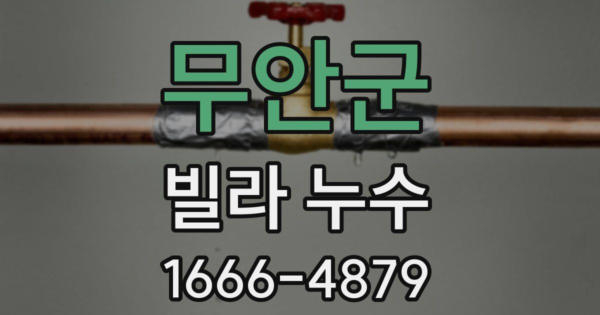 무안군 빌라 누수