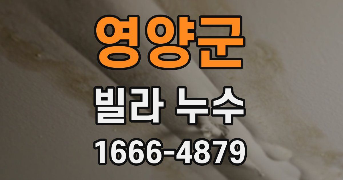 영양군 빌라 누수