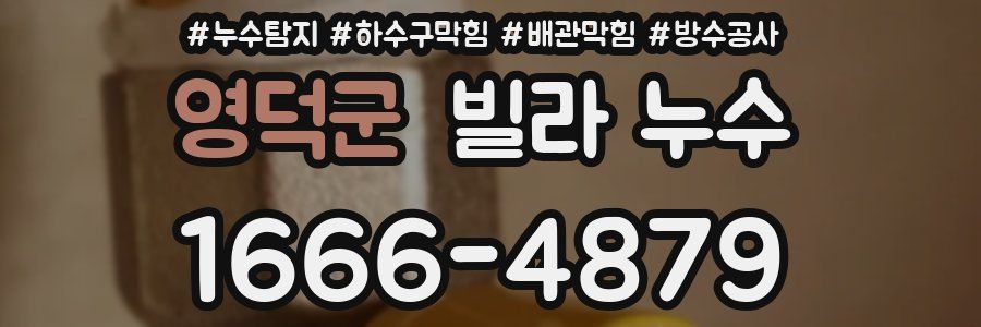영덕군 빌라 누수