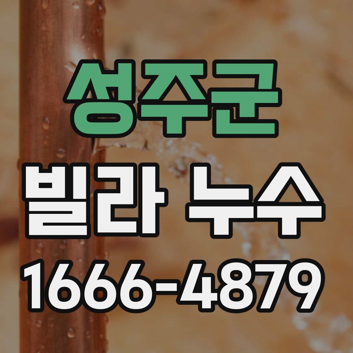 성주군 빌라 누수