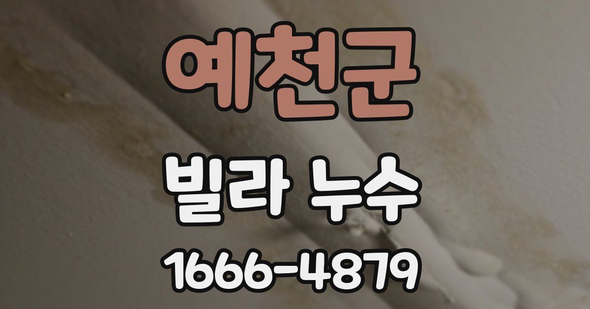 예천군 빌라 누수