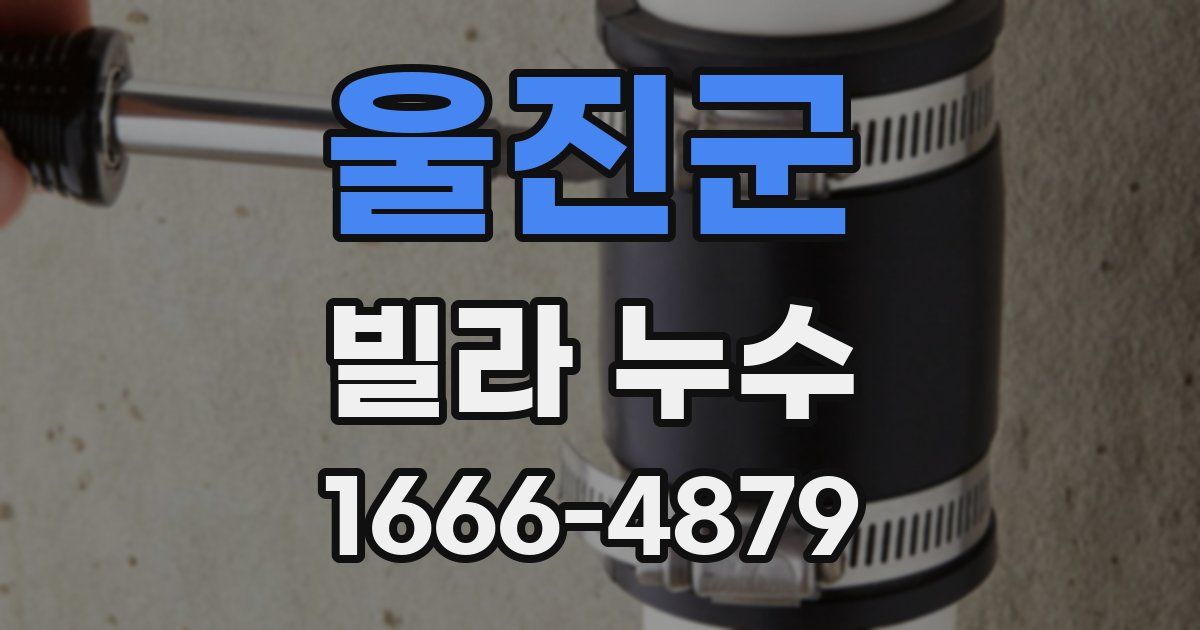 울진군 빌라 누수