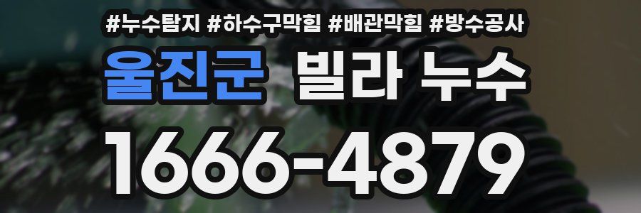 울진군 빌라 누수