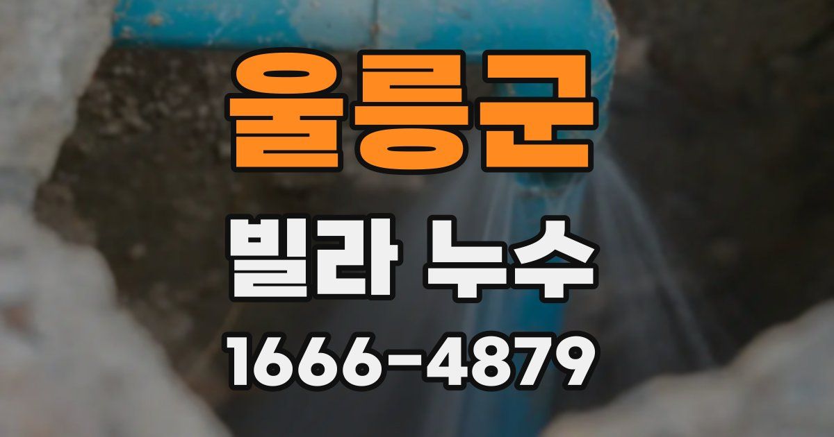 울릉군 빌라 누수