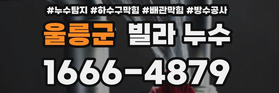 울릉군 빌라 누수