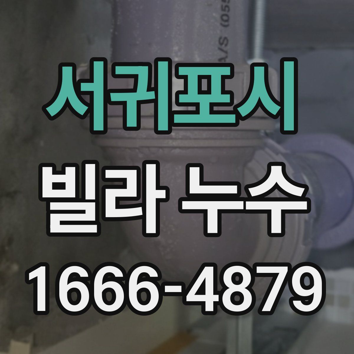 서귀포시 빌라 누수