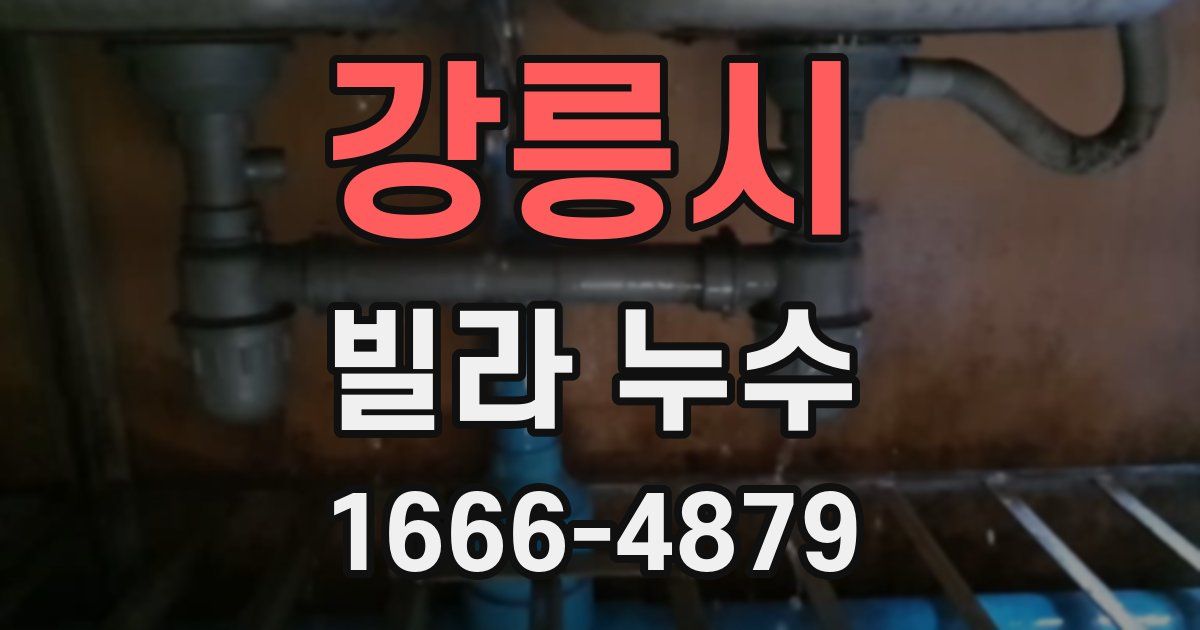강릉시 빌라 누수