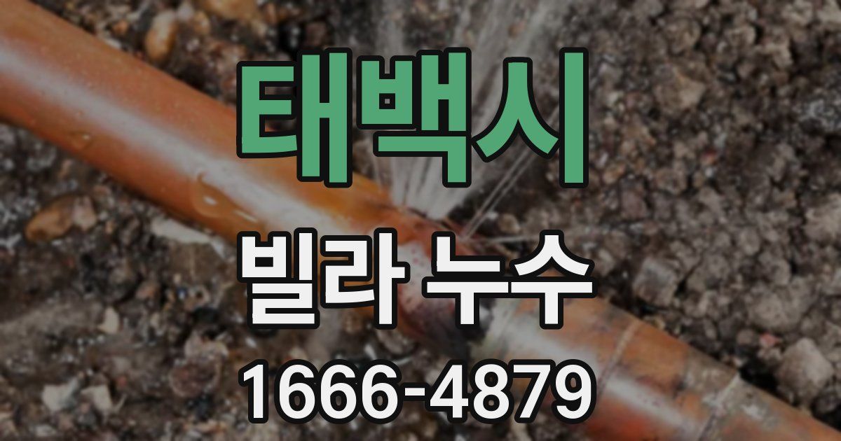 태백시 빌라 누수