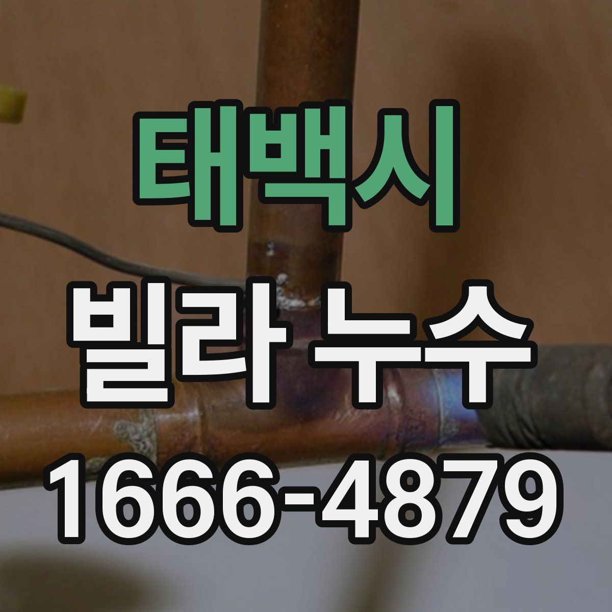 태백시 빌라 누수