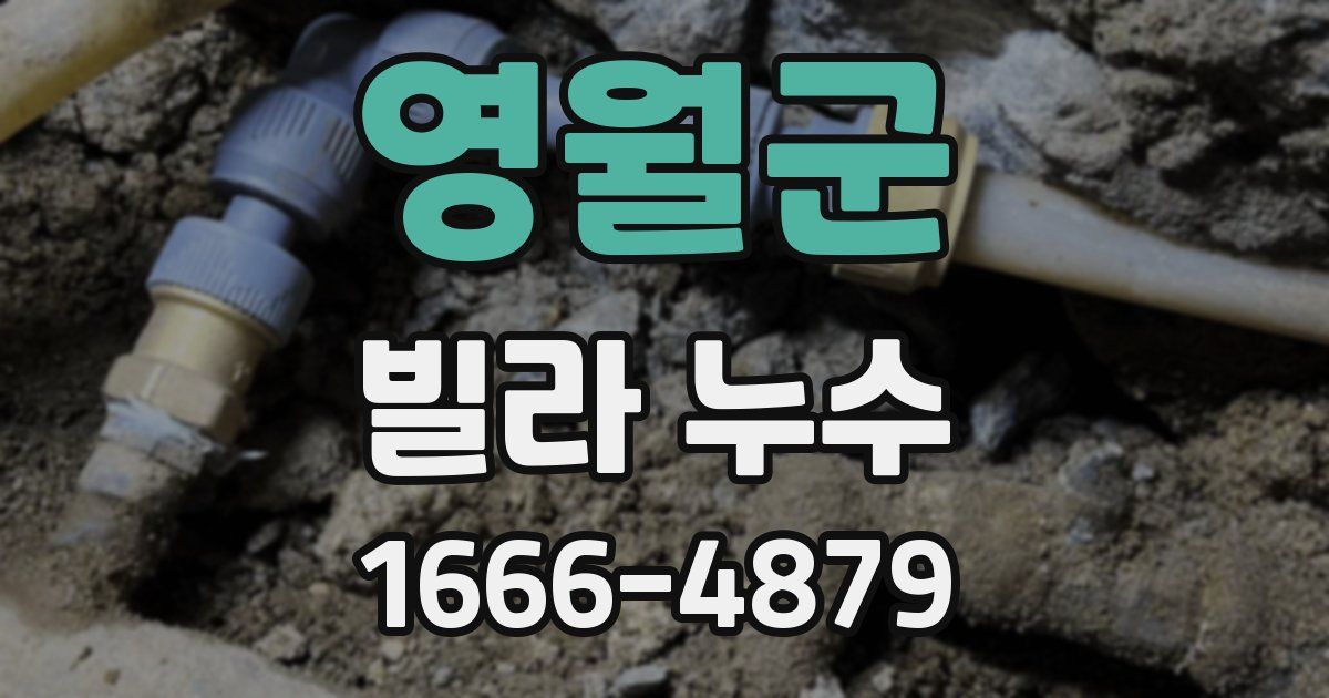 영월군 빌라 누수