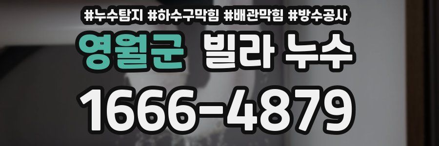 영월군 빌라 누수
